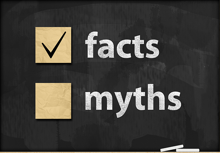 A blackboard with the words facts and myths written on it